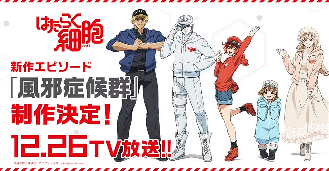 Cells at work